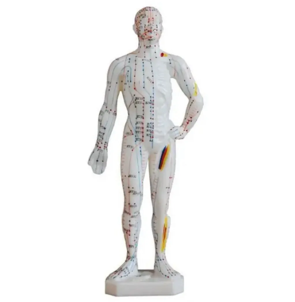Acupunture Mannequin Small
