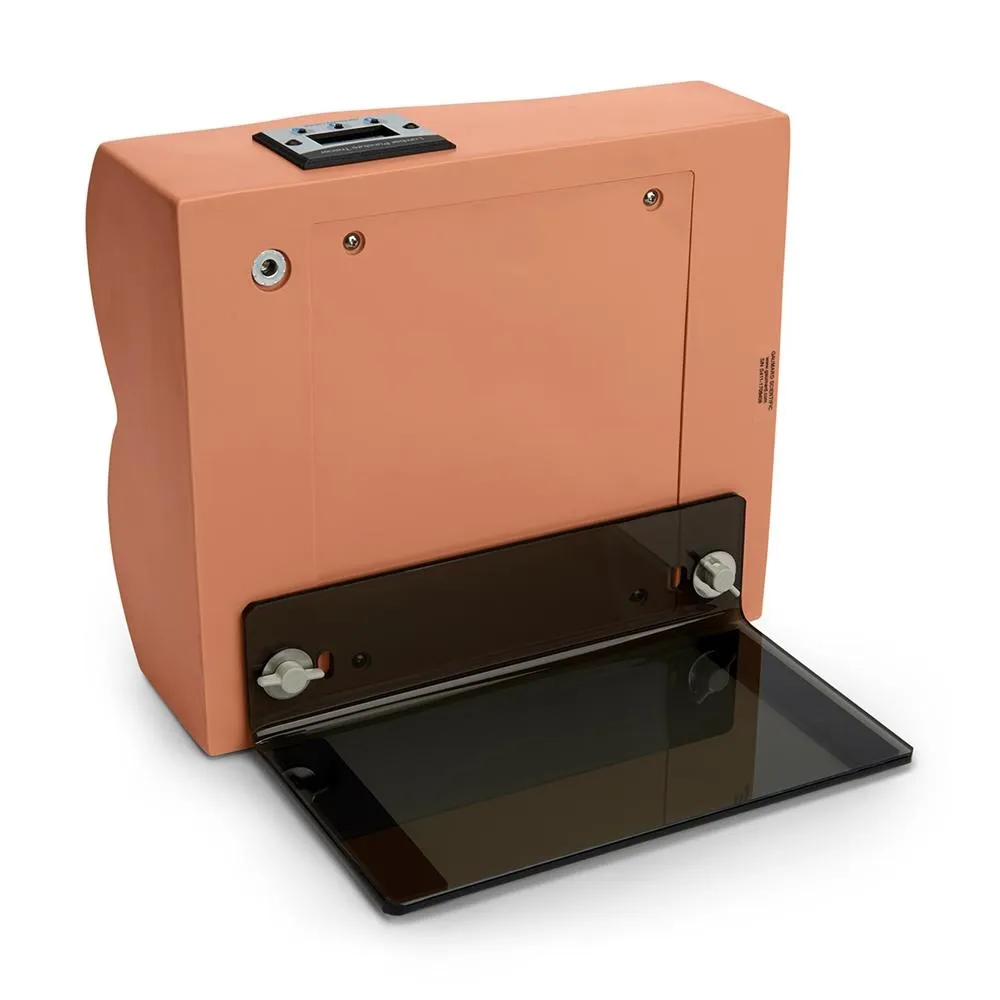 Lumbar Puncture Trainer, Medium